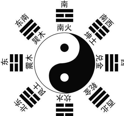 默识与物识区别：认知领域中的看似相似但又截然不同的概念对比详解