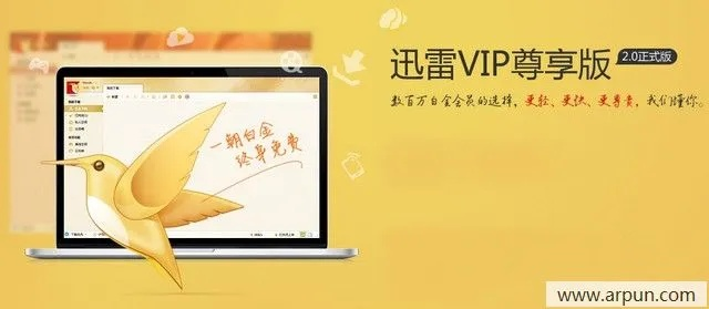 探索优质资源：功能丰富的迅雷会员账号分享平台，畅享高速下载体验