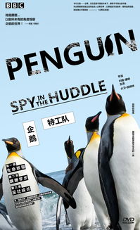 (企鹅间谍 中文配音)探索企鹅间谍世界：揭秘英文字幕下的精彩故事与角色解析