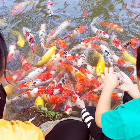 (掌上乐园下载安装)掌上乐园:最全手机游戏大全APP下载推荐 (掌上乐园下载安装)掌上乐园:最全手机游戏大全APP下载推荐