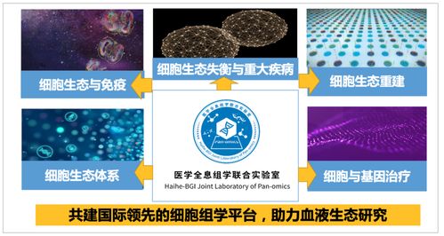 (细胞世界探秘心得体会)探索细胞世界游戏:揭开微观生物的神秘面纱与科学奥秘