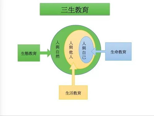 深度解析成语'龙之荣耀'的寓意与应用,探究其在中国传统文化中的独特地位和价值