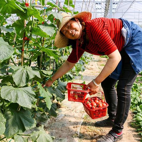 (代号官网下载)代号:乐园官网版v1.0预约系统正式上线,抢先预约体验乐园乐趣 (代号官网下载)代号:乐园官网版v1.0预约系统正式上线,抢先预约体验乐园乐趣