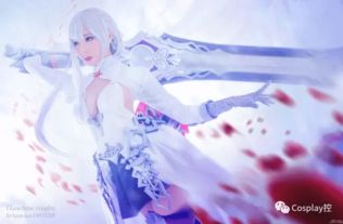 (死亡爱丽丝 白雪姬)死亡爱丽丝与白雪姬:两位童话女主角的终结之旅