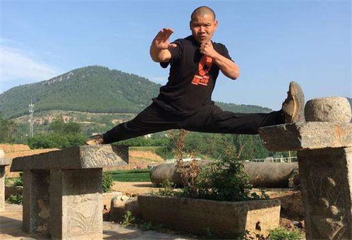 (功夫喵星人下载)功夫喵星人官方TV版:猫咪武术大片,保卫家园的萌宠战士