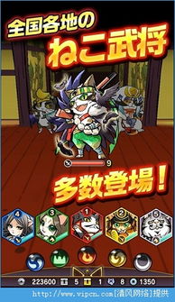 (如何在喵神的迷宫中获得无尽金币呢)如何在喵神的迷宫中获得无尽金币？