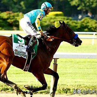 骑马与施法免广告：探讨骑乘动作游戏中的魔法施放技巧及避免广告干扰的有效方式