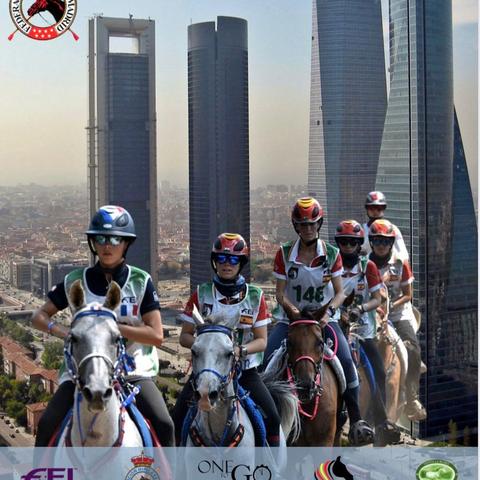 骑马与施法免广告:探讨骑乘动作游戏中的魔法施放技巧及避免广告干扰的有效方式 骑马与施法免广告:探讨骑乘动作游戏中的魔法施放技巧及避免广告干扰的有效方式