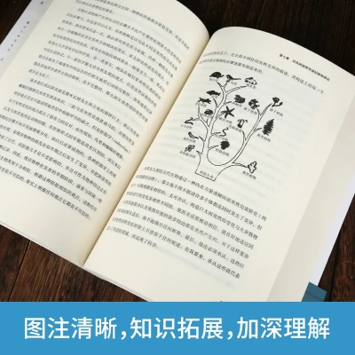 (类似物种起源的书)探索类似物种起源的进化之旅:打造自己的进化策略 (类似物种起源的书)探索类似物种起源的进化之旅:打造自己的进化策略