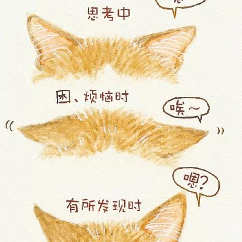 探索梦幻世界猫物语之不思议商店：奇幻商品与猫咪冒险的奇妙旅程