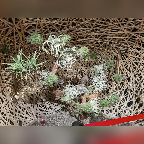 (奇迹重生rpg)奇迹重生MU:探寻传奇故事中的新篇章,见证奇迹再次诞生 (奇迹重生rpg)奇迹重生MU:探寻传奇故事中的新篇章,见证奇迹再次诞生