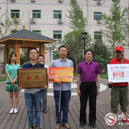 (电脑象棋游戏推荐)探索智慧世界:电脑象棋游戏的策略与技巧大揭秘 (电脑象棋游戏推荐)探索智慧世界:电脑象棋游戏的策略与技巧大揭秘