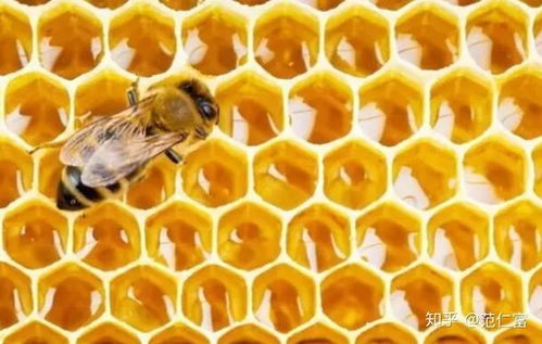 (小蜜蜂主播)网友质疑小蜜蜂老师直播是否真实可靠值得信赖？