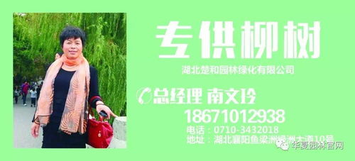 (乔梁叶心仪阅读1450-~2000章)乔梁叶心仪最经典1628章，纯美、唯美、动人至极