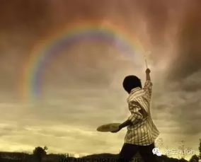 (闪亮的我:在梦想与坚持中绽放光芒的成长故事)闪亮的我:在梦想与坚持中绽放光芒的成长故事