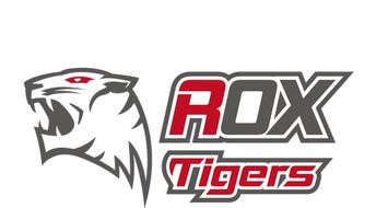 探讨游戏革新:以rox新世代诖生资料库为核心,揭示电子竞技行业的未来发展趋势