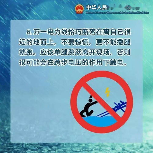 (网络攻击紧急预案)攻坚特勤停服：如何应对紧急情况下的网络安全挑战？