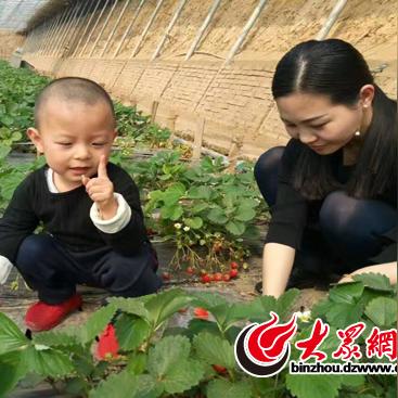 (慈祥老农民图)慈祥老农种树，邻居获种子喜笑颜开