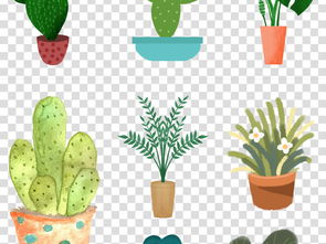 (植物图片 手绘儿童)电脑宝贝之精彩植物图片欣赏：让小朋友们更近距离的了解自然