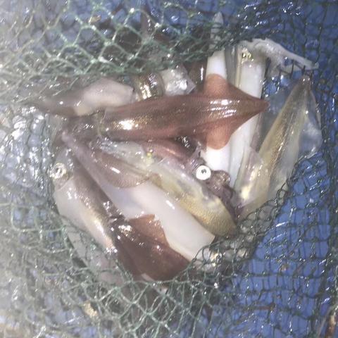 (捕鱼达人hd单机版 2015)独享全高清体验：捕鱼达人HD单机版游戏详细攻略与下载教程