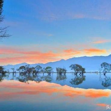 探索友谊与竞技的边界：以《宠物对决世代图鉴》为线索全方位解读精神寄托与生活娱乐的完美结合