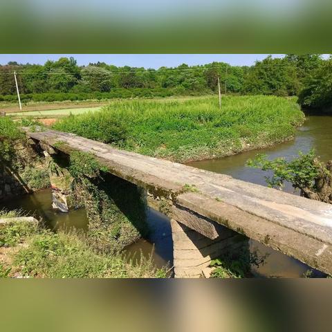 “逍遥浪人是什么意思？探讨这一词汇在文学和文化中的深层含义与象征”