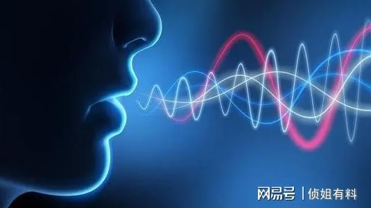 探讨现代社会中的'现在何处'：对于环境、时间和存在感忧虑的深度解读