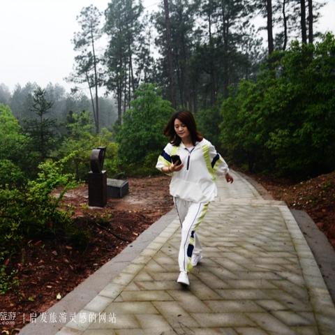 初恋是学生会长攻略告选项：如何在校园里成功追求你心仪的学生会长？