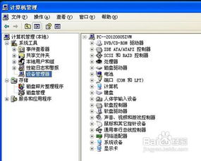 如果你的电脑声音失真不正常，该如何解决和排查问题的详细步骤和方法？