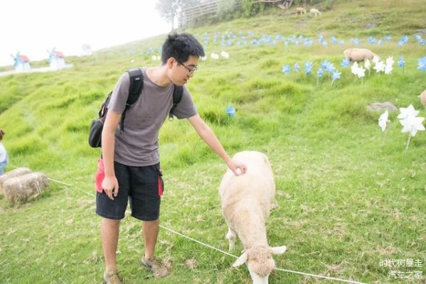 (咩咩牧场好玩吗)寻找咩咩牧场的正确位置，想知道咩咩牧场在哪里？