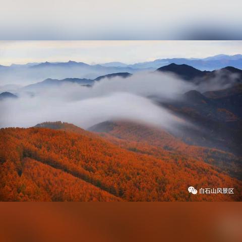 (适合高中生的大冒险)探索惊险世界:高中生童话游戏大冒险 (适合高中生的大冒险)探索惊险世界:高中生童话游戏大冒险