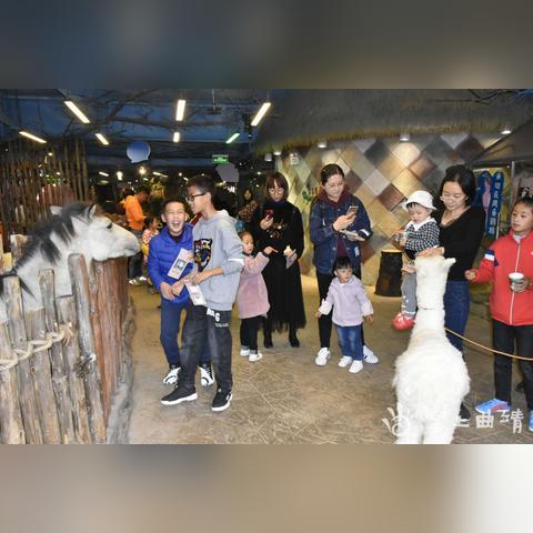 (龙猫 动画片百度云资源)亲子共享：高清动漫「龙猫」完整版资源百度网盘下载指南