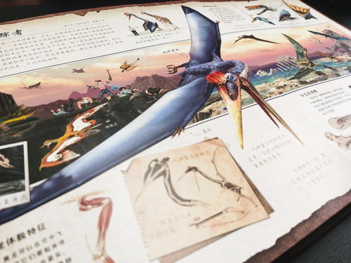 (神奇的探险之旅穿越时空穿越到了宇宙中作文)穿越时空的奇幻探险之旅：探寻神秘世界的奇幻之旅