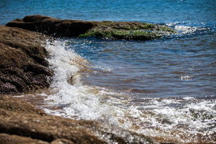(遗忘的海岛)探寻遗忘的海岸：不付费版揭示的神秘故事与惊人发现