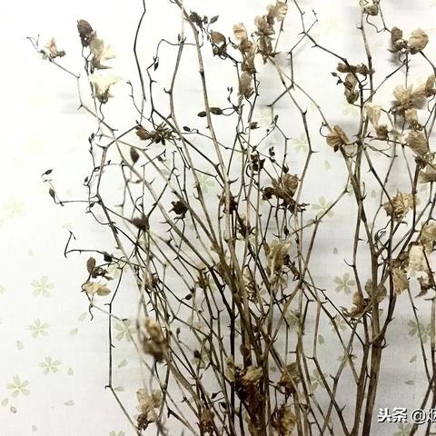 (烈焰飞雪出手游了吗)烈焰飞雪手游发布了吗？最新消息关于烈焰飞雪手游上线情况