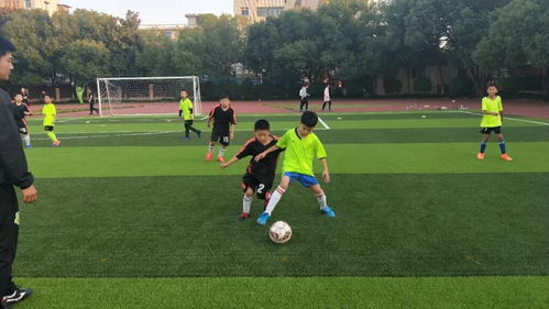 (足球转动梦想 绿茵放飞希望)足球点亮梦想，绿茵放飞希望，助你追逐无限可能