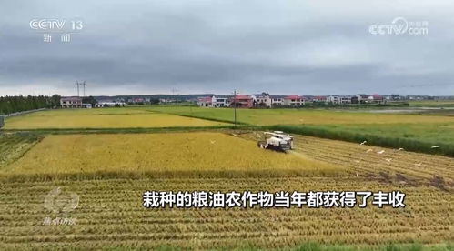 (良田改造有补贴金吗)这城有良田一折充值入口，畅享农田风光和充值优惠