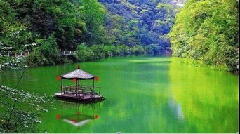 山有扶苏2019攻略：探索山水灵秀，畅游自然梦境，尽情感受大自然的魅力