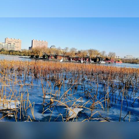(爸爸和我钓鱼的作文)爱钓鱼的爸爸小荷作文：“我与爸爸共同享受湖边的乐趣”