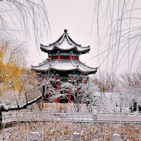 (爸爸和我钓鱼的作文)爱钓鱼的爸爸小荷作文：“我与爸爸共同享受湖边的乐趣”