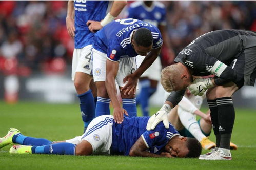 诺加尔德球员：探寻挪威足球风采，他们在欧洲联赛中的表现如何？