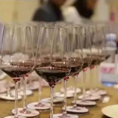 探索精灵宝贝大师球的奥秘：它到底有什么用途和在精灵宝贝世界中的重要性