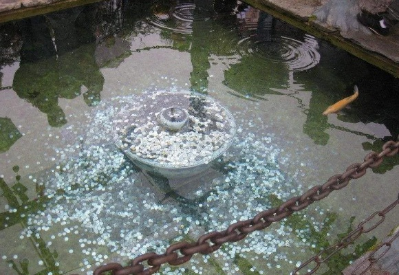 寻找童话世界：萌鱼泡泡许愿池的神秘所在地及其背后的感人故事