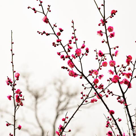 (手提电脑怎样调整屏幕亮度)如何在手提电脑上调整屏幕亮度：详细步骤与设置指南