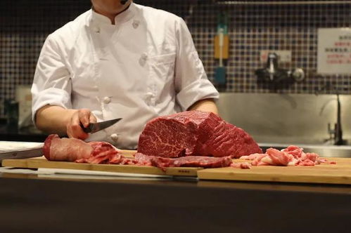 (食梦貘百度百科)探秘食梦mo：神秘的美食之梦，揭开食梦mo的秘密