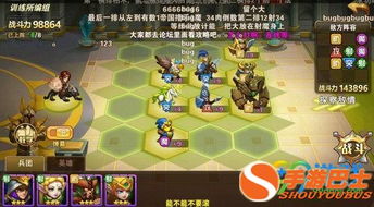 (代号放置阵容)融合战略与挑战：揭秘代号放置X的玩法和全新玩法解析