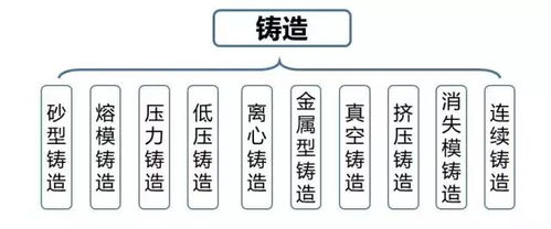 如何正确使用四季合合线绳，提升户外活动效率与安全性的方法与技巧