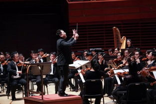 (协奏曲用什么乐器)利用协奏曲软件，提高音乐家们的合作和表演水平