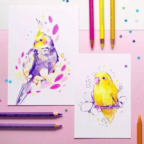 梦幻动物城免广告最新版！全新升级，畅快享受无广告游戏体验！