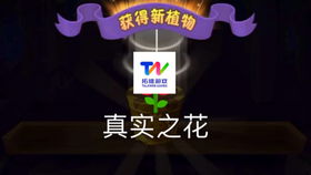 (喵喵爱玩能赚钱吗)喵喵爱冒险0.1折特惠,带你开启一段奇妙的猫咪冒险之旅 (喵喵爱玩能赚钱吗)喵喵爱冒险0.1折特惠,带你开启一段奇妙的猫咪冒险之旅